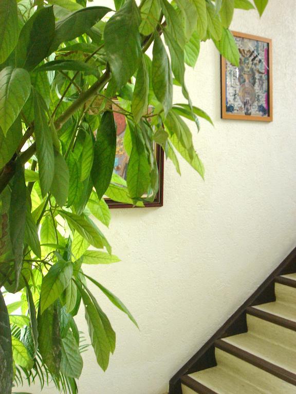 Dakini'S Bed & Breakfast Цюрих Екстер'єр фото